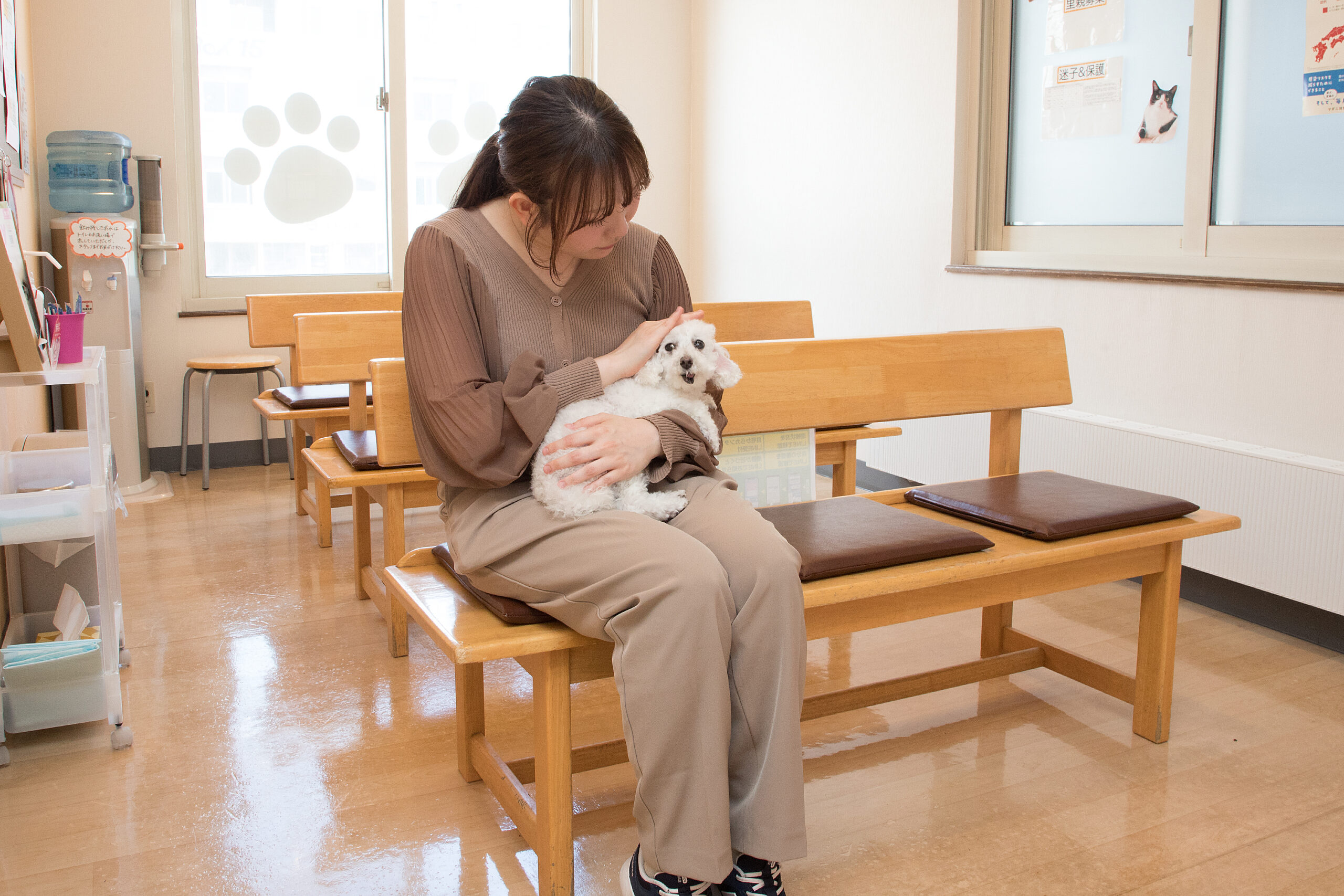 北光犬猫病院photo