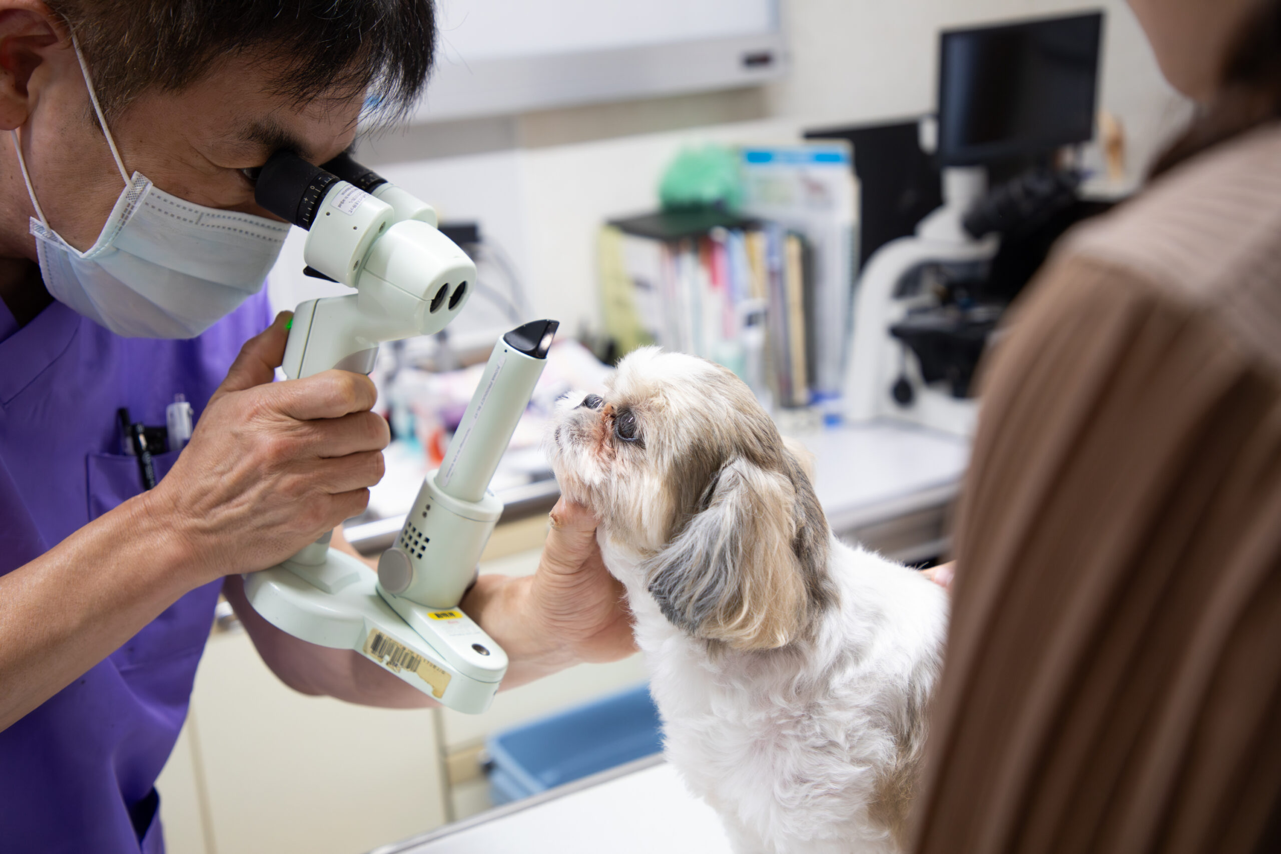 かけはた動物病院photo