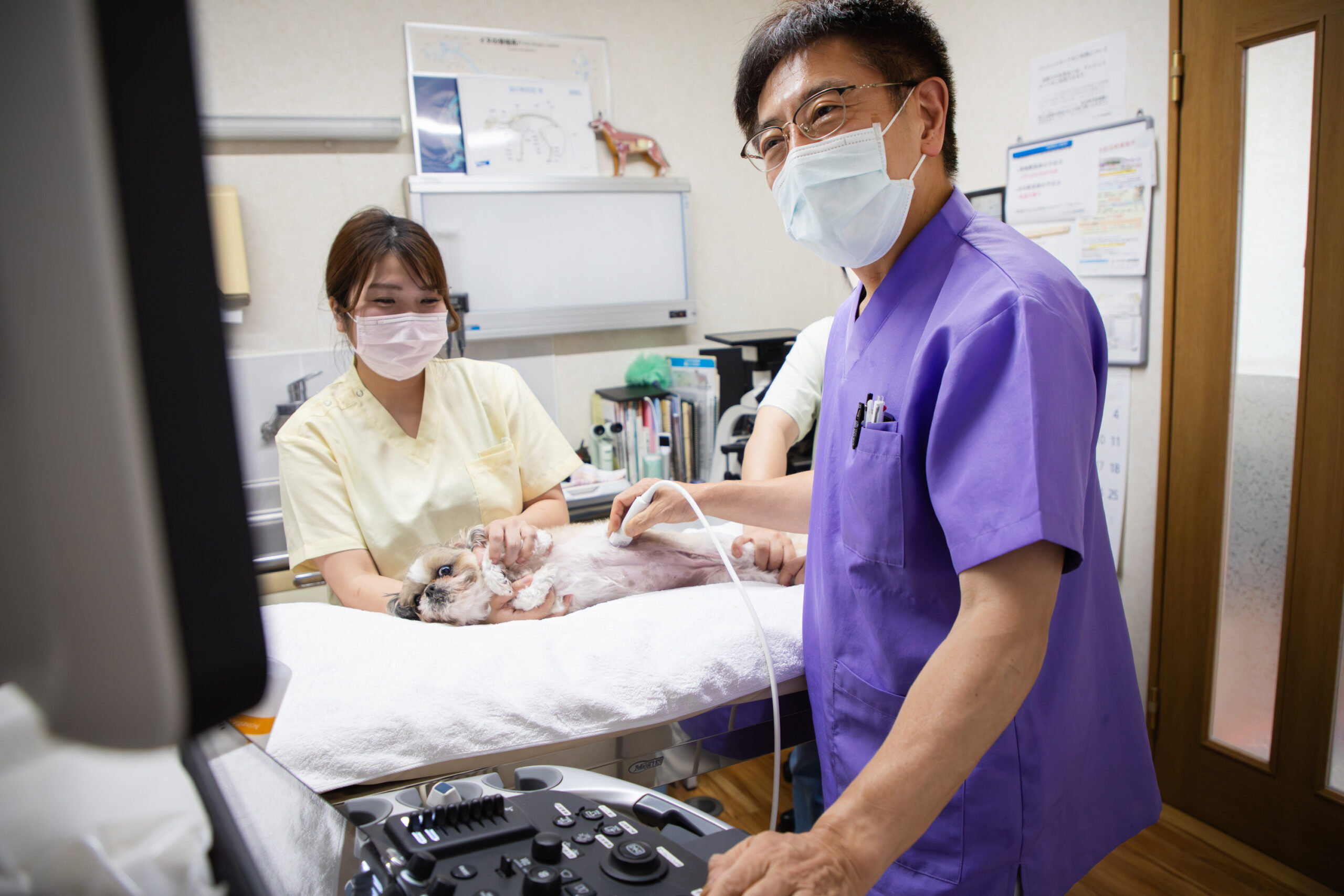 かけはた動物病院photo