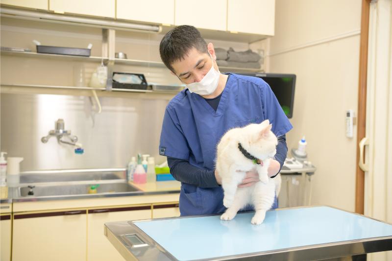 ドクターオザワ動物病院 町田病院