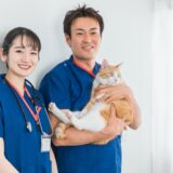 かかりつけ動物病院は複数あった方がいい？かけもちのメリットや受診時の注意点を解説