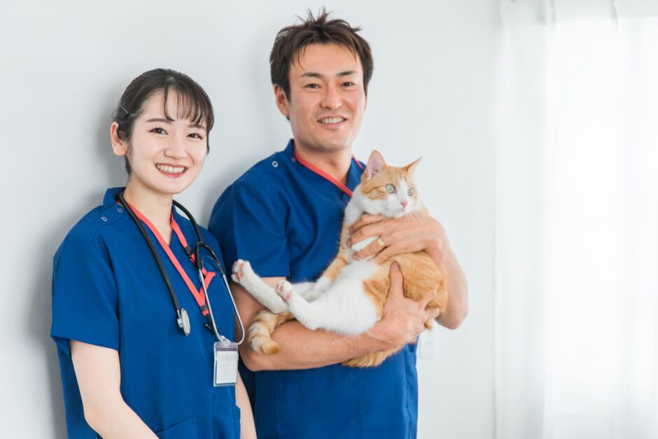 かかりつけ動物病院は複数あった方がいい？かけもちのメリットや受診時の注意点を解説
