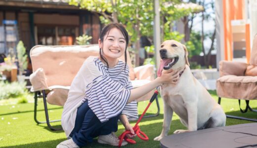 犬の攻撃性はしつけ教室で改善できる？トレーニング方法やタイミング、注意点を解説