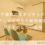 【2026年】千葉県のエキゾチックアニマル対応の動物病院 おすすめしたい2医院