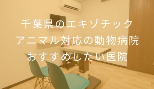 【2026年】千葉県のエキゾチックアニマル対応の動物病院 おすすめしたい2医院