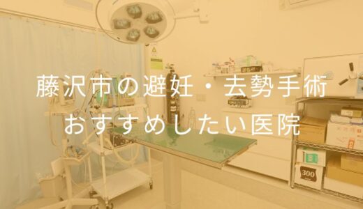 【2026年】藤沢市の避妊・去勢手術 おすすめしたい2医院