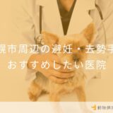 【2026年】札幌市周辺の避妊・去勢手術 おすすめしたい2医院