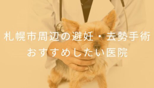 【2026年】札幌市周辺の避妊・去勢手術 おすすめしたい2医院