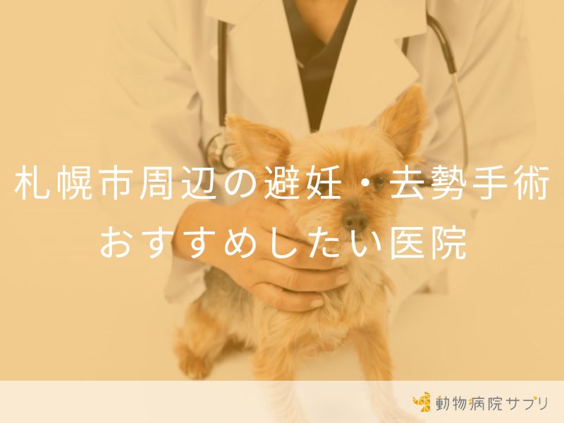 札幌市周辺の避妊・去勢手術 おすすめしたい医院