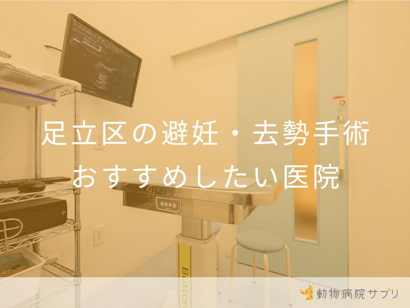 足立区の避妊・去勢手術 おすすめしたい医院