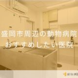 【2026年】盛岡市周辺の動物病院 おすすめしたい2医院