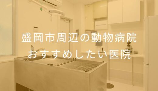 【2026年】盛岡市周辺の動物病院 おすすめしたい2医院