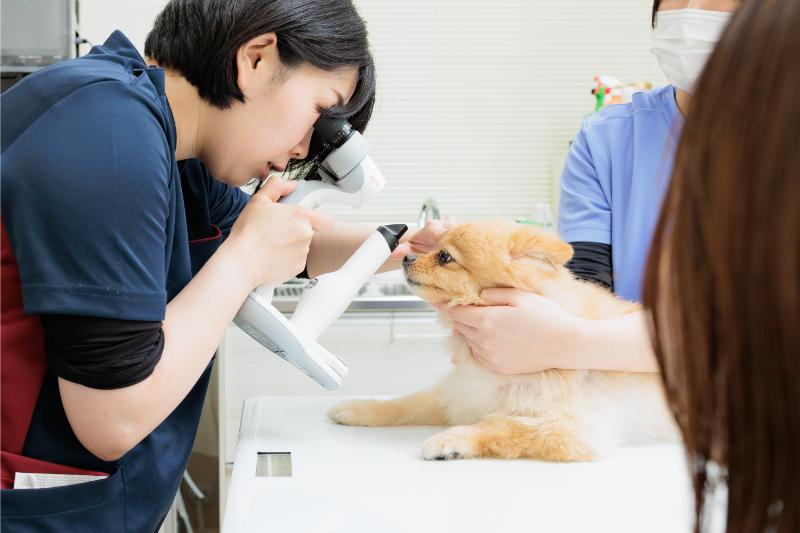 ふじ動物病院photo