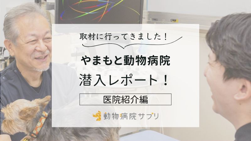 やまもと動物病院photo