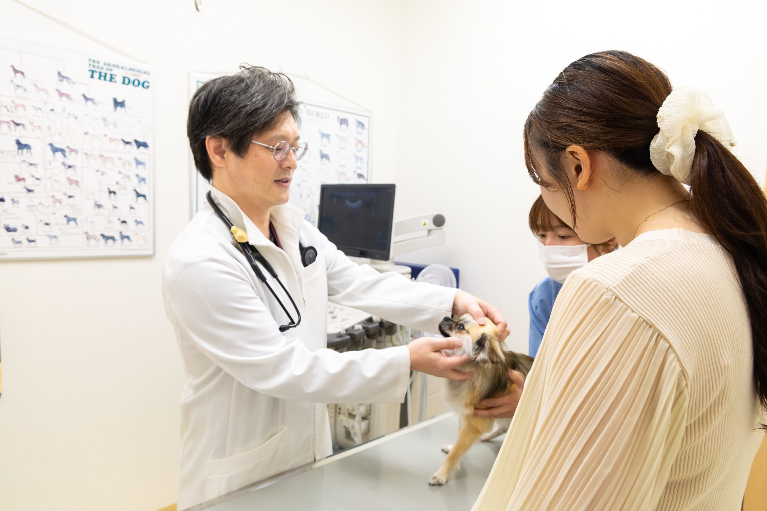 まつい犬猫病院photo