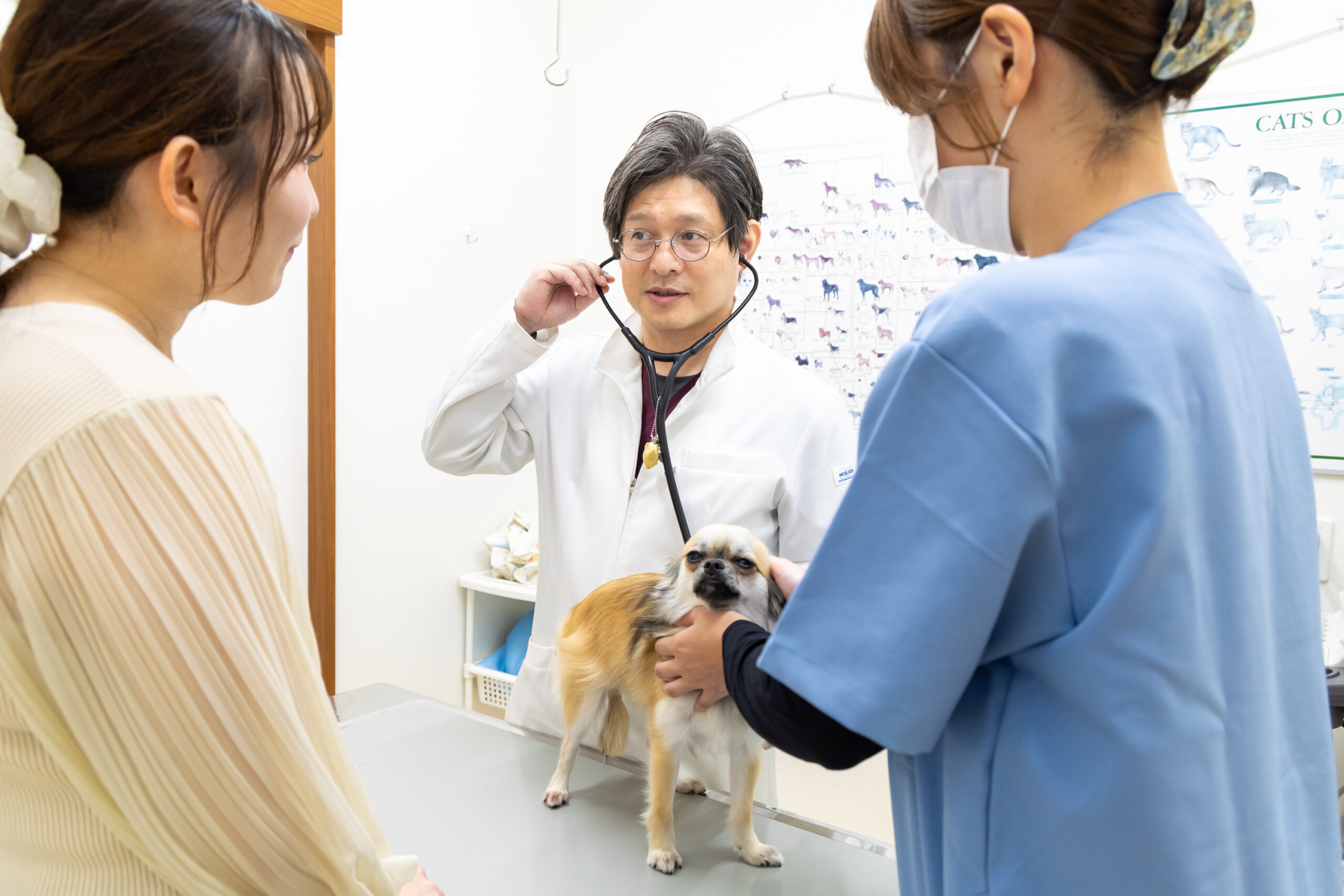まつい犬猫病院photo