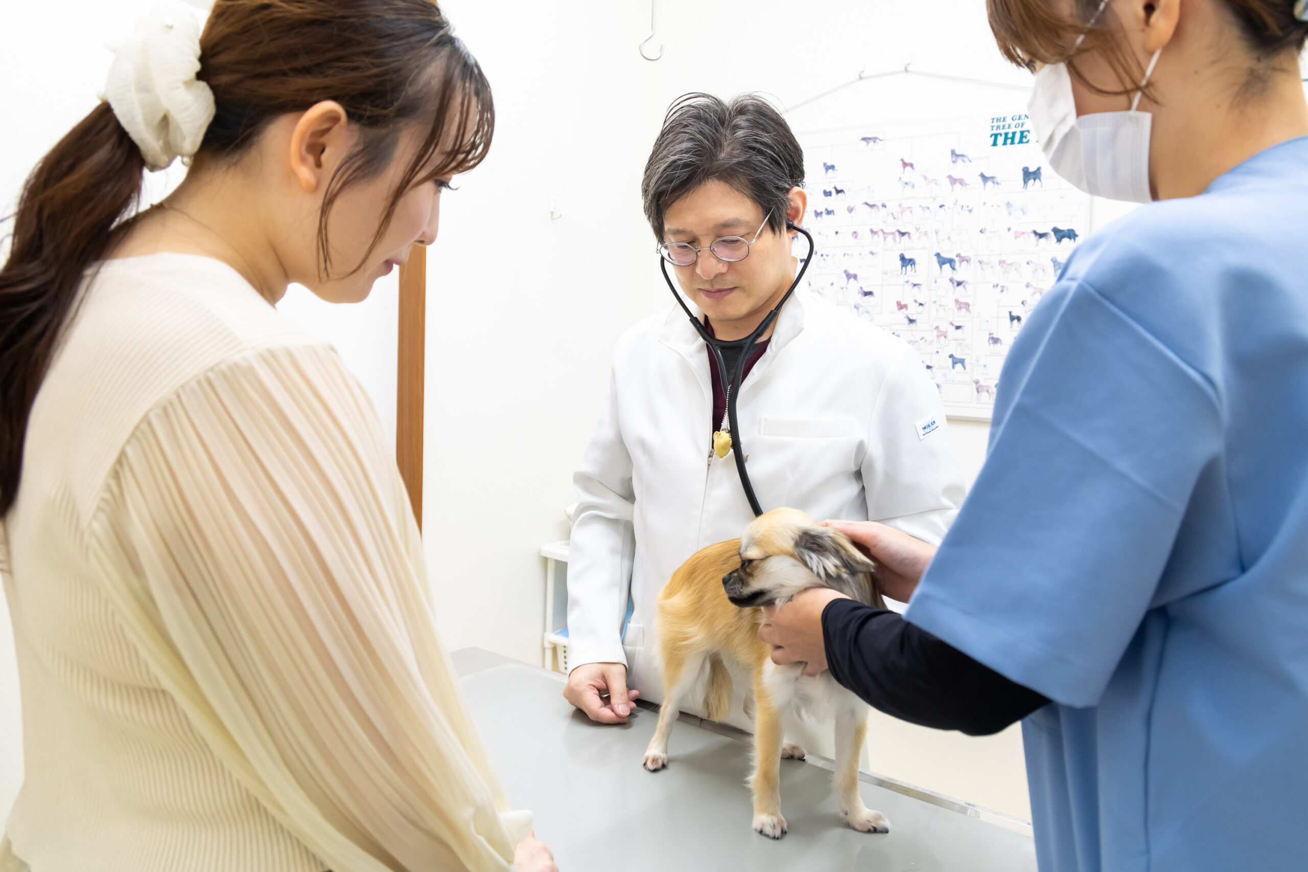 まつい犬猫病院photo