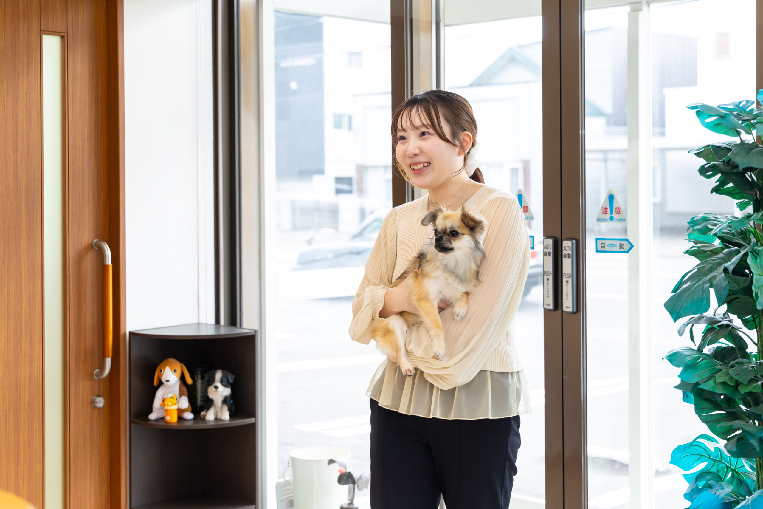 まつい犬猫病院photo