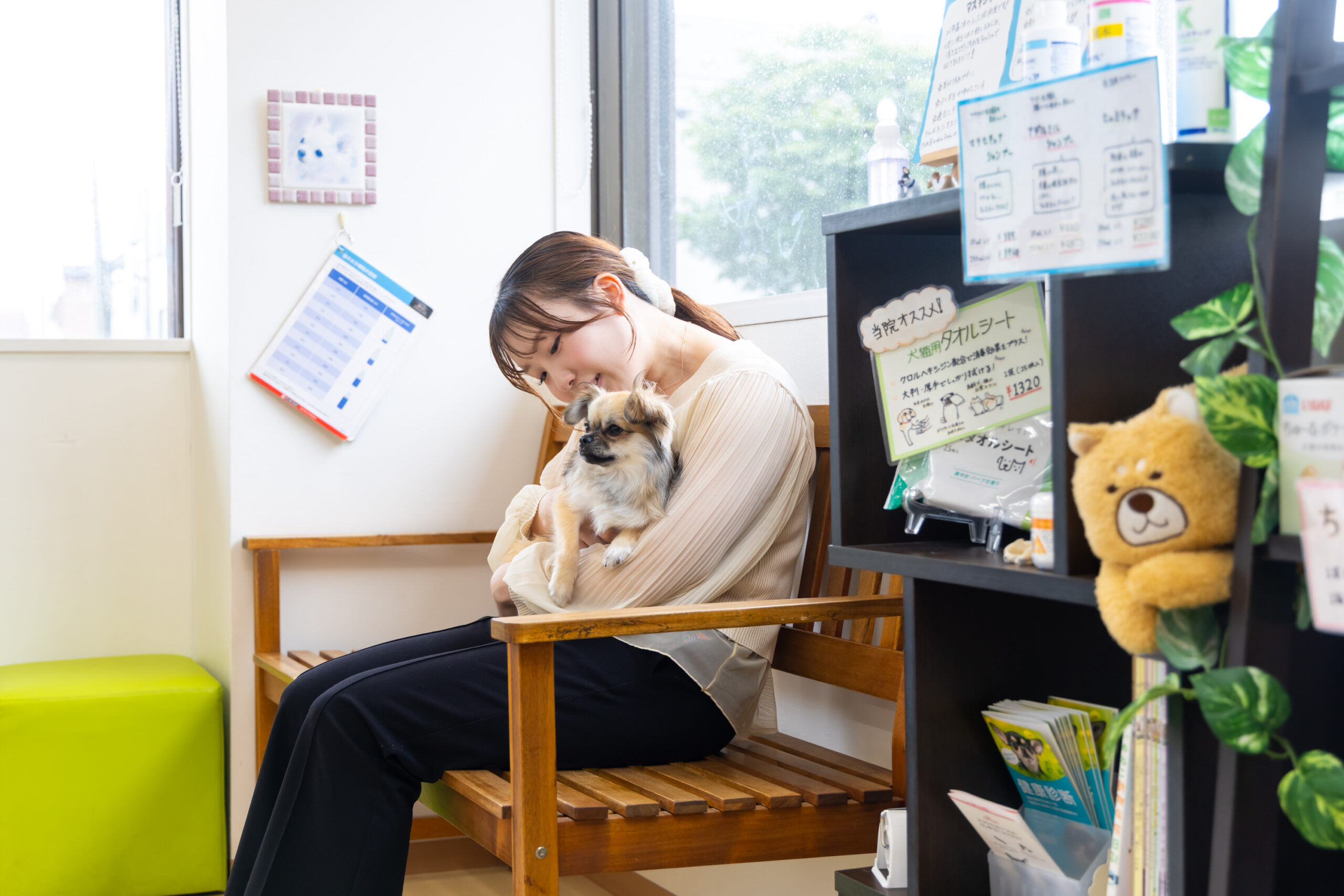 まつい犬猫病院photo