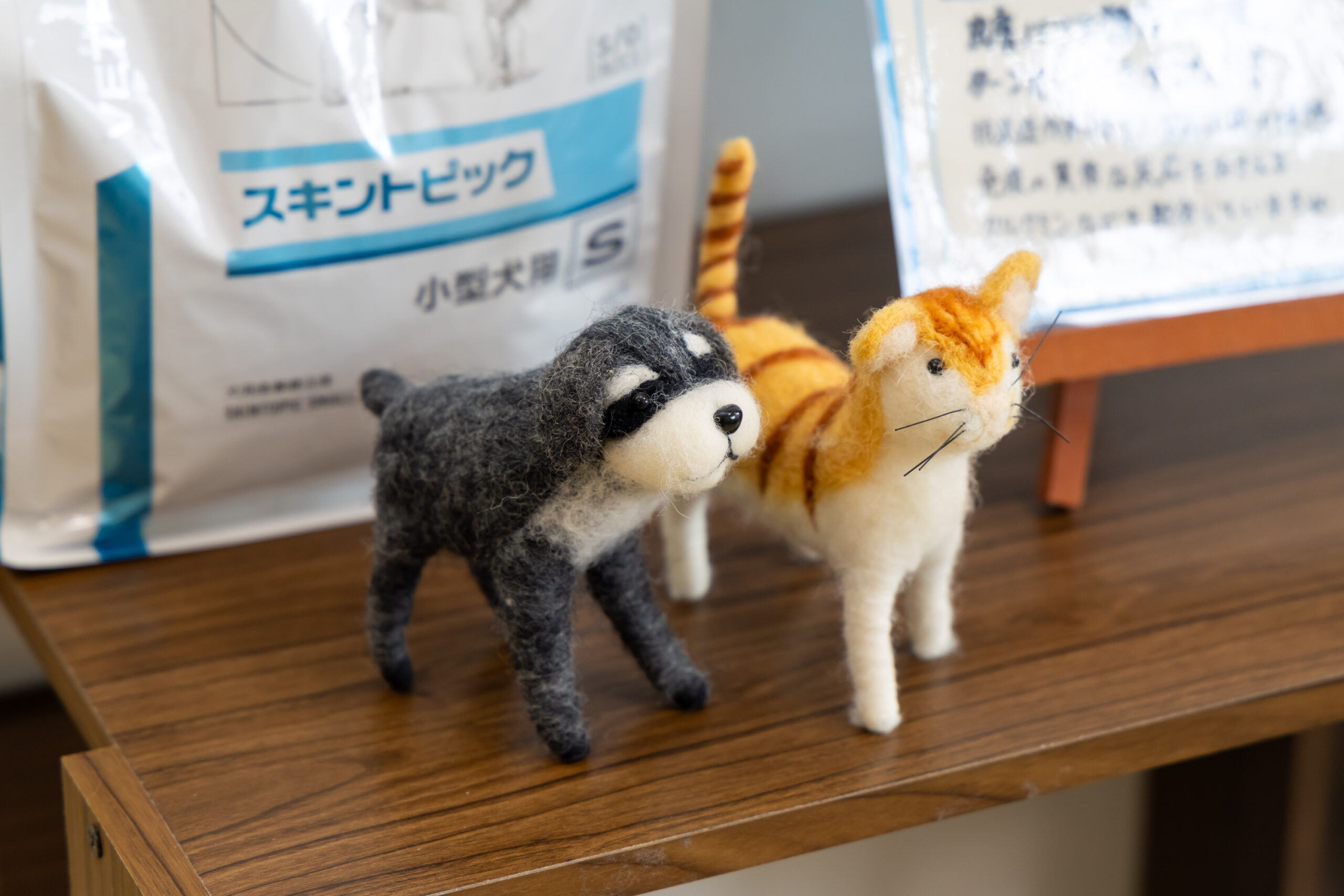 まつい犬猫病院photo