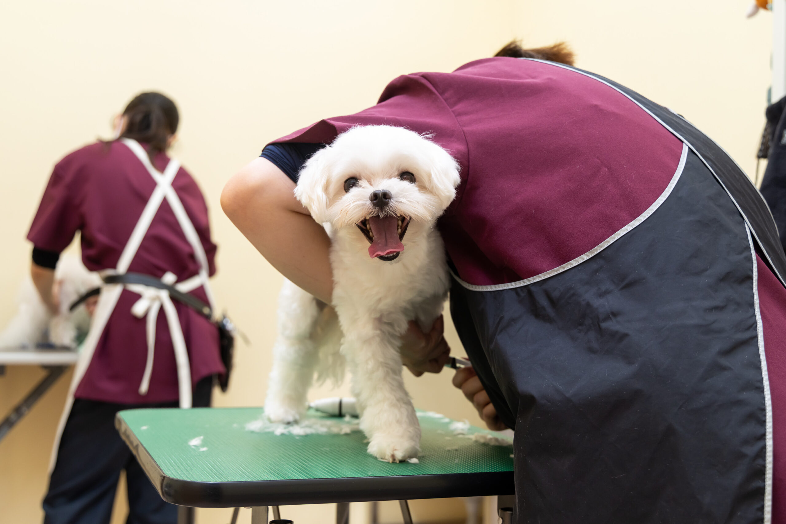 まつい犬猫病院photo