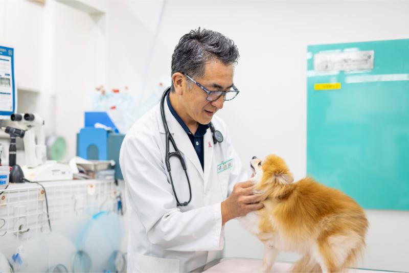 苅谷動物病院グループ 江東総合病院
