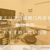 【2026年】関東エリアの⻭周⼝内炎対応動物病院 おすすめしたい5医院