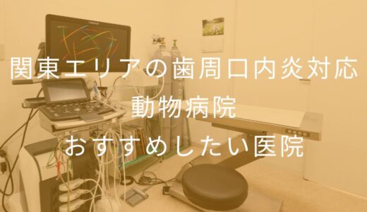 【2026年】関東エリアの⻭周⼝内炎対応動物病院 おすすめしたい5医院
