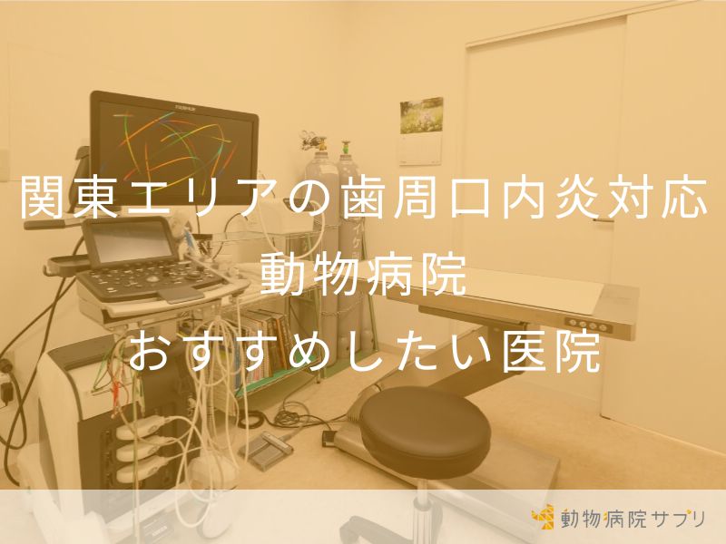 関東エリアの⻭周⼝内炎対応動物病院おすすめしたい医院