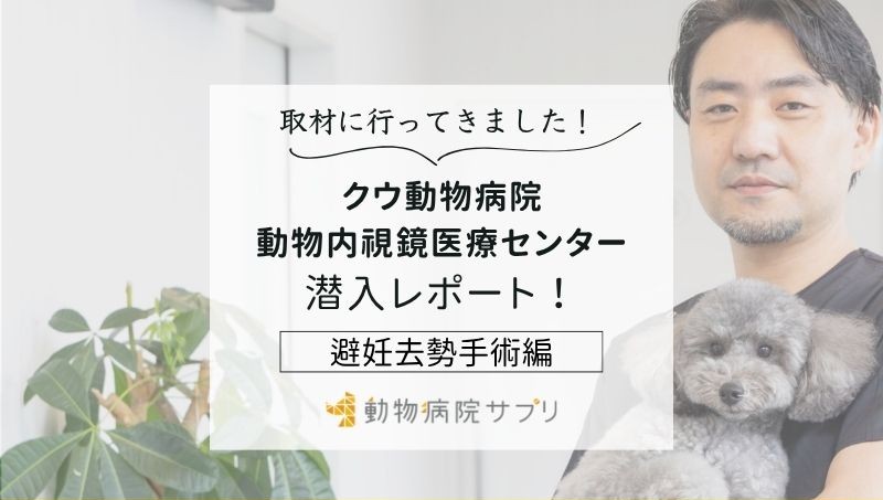 クウ動物病院 動物内視鏡医療センターphoto