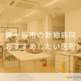 【2026年】鎌ヶ谷市の動物病院 おすすめしたい2医院