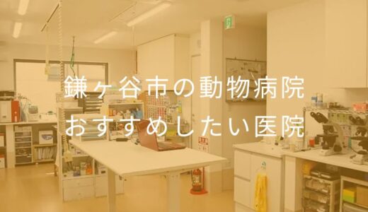 【2026年】鎌ヶ谷市の動物病院 おすすめしたい2医院