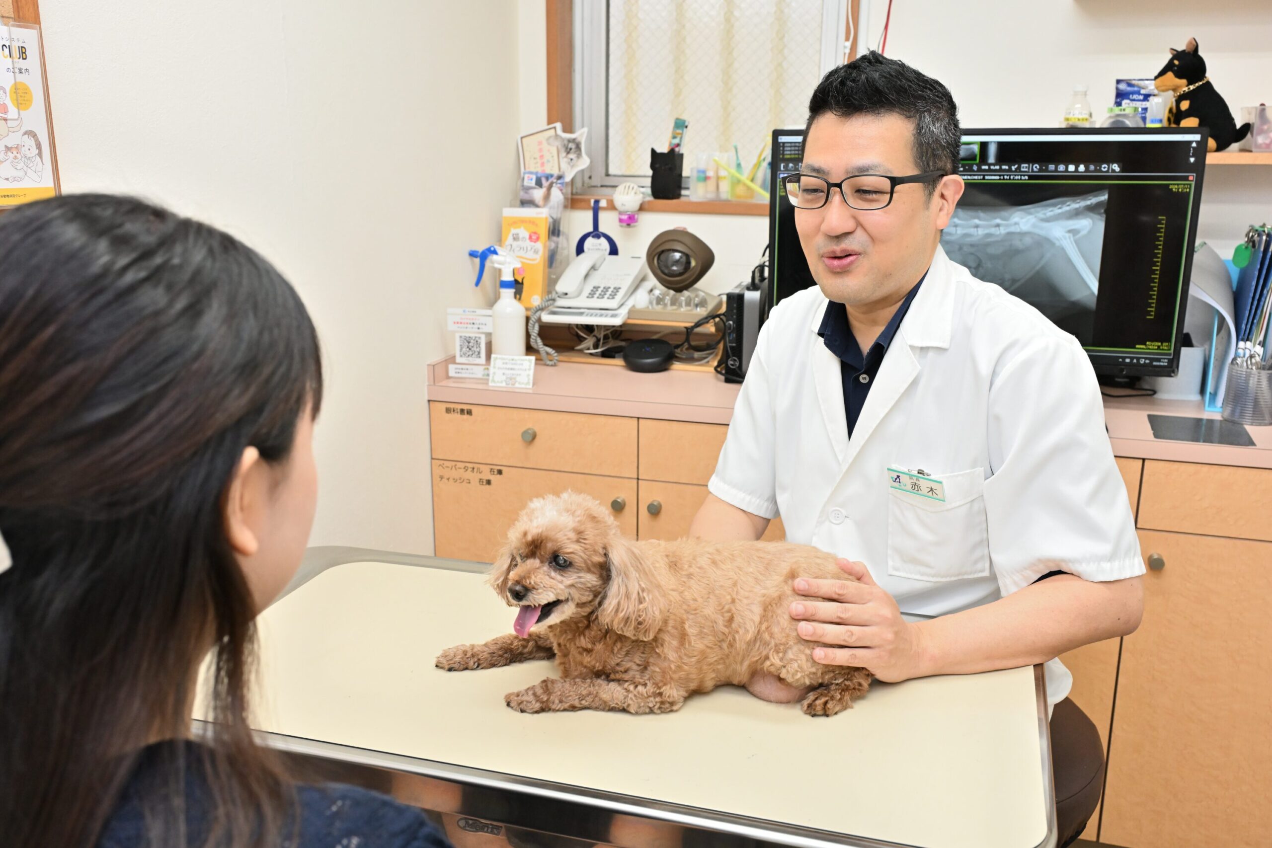 苅谷動物病院グループ 江東総合病院