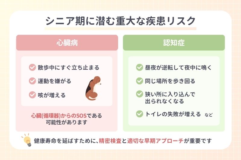 シニア期に潜む重大な疾患リスク