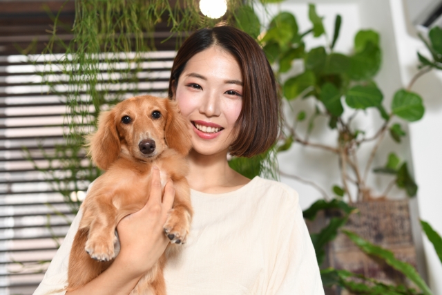 編集部まとめ