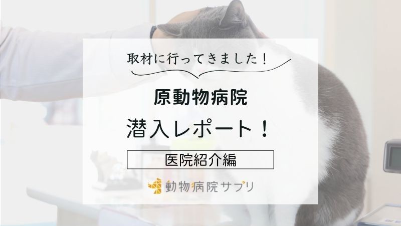 原動物病院photo