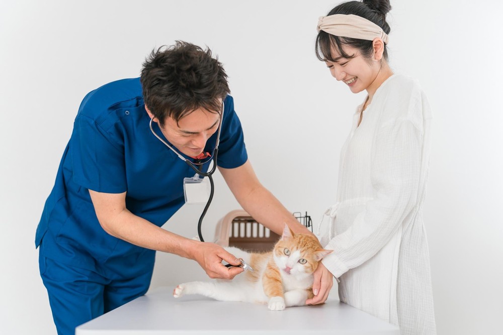 動物病院の尿検査の採尿はどこで行うのか