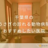 【2026年】千葉県のうさぎの診れる動物病院 おすすめしたい2医院