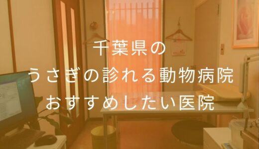 【2026年】千葉県のうさぎの診れる動物病院 おすすめしたい2医院