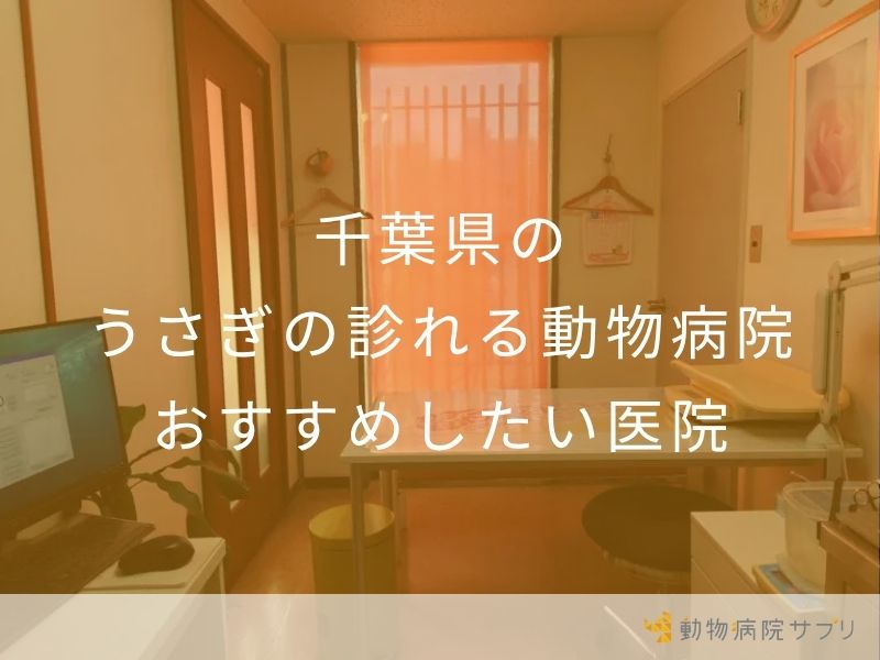 千葉県のうさぎの診れる動物病院 おすすめ