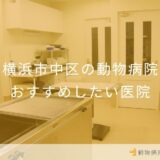 横浜市中区の動物病院 おすすめしたい医院