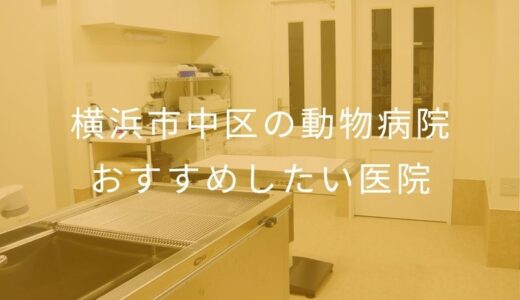 【2026年】横浜市中区の動物病院 おすすめしたい2医院
