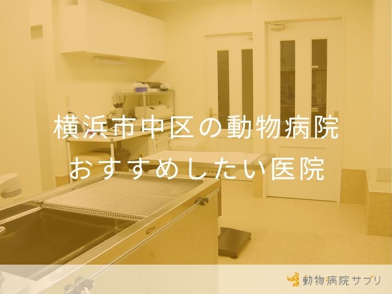 横浜市中区の動物病院 おすすめしたい医院