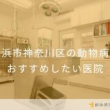 【2026年】横浜市神奈川区の動物病院 おすすめしたい2医院