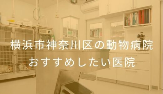 【2026年】横浜市神奈川区の動物病院 おすすめしたい2医院