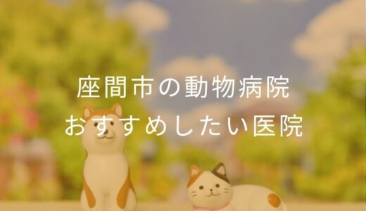 【2026年】座間市の動物病院 おすすめしたい6医院