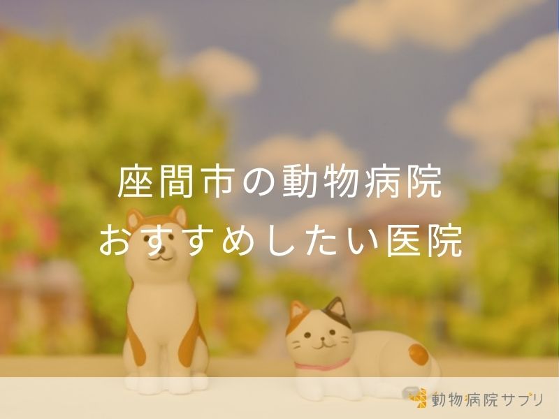 座間市の動物病院おすすめしたい医院