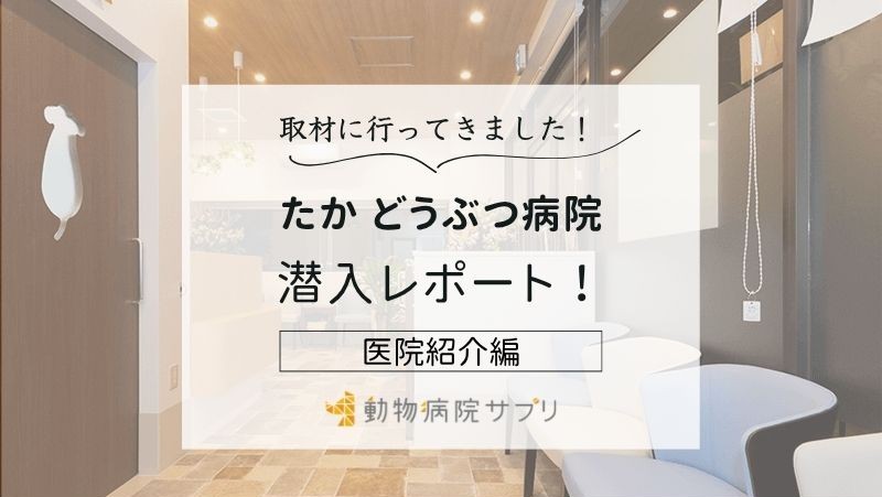 たか どうぶつ病院photo