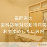 【2026年】福岡県の歯科診療対応動物病院 おすすめしたい2医院