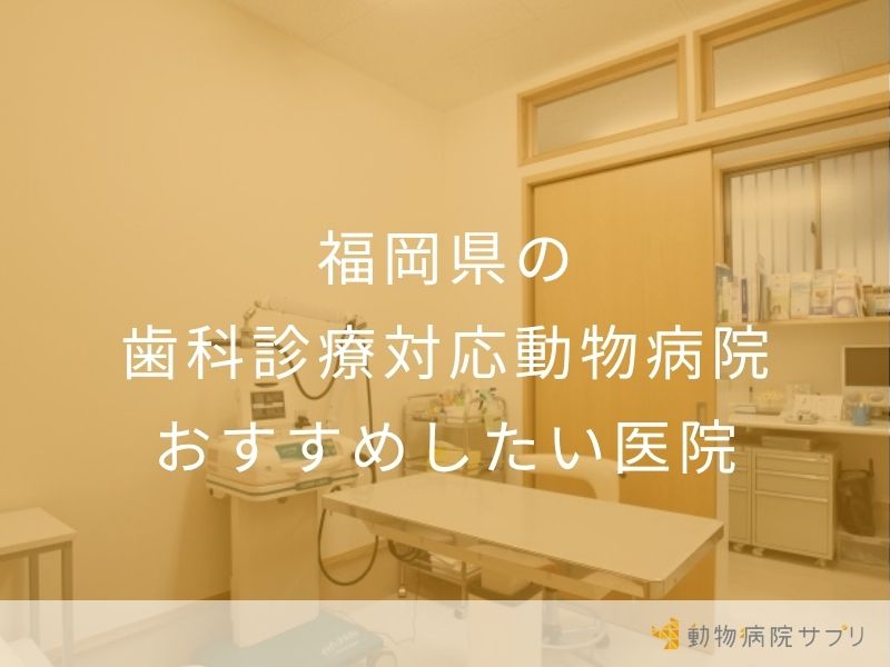 福岡県の 歯科診療対応動物病院おすすめしたい医院
